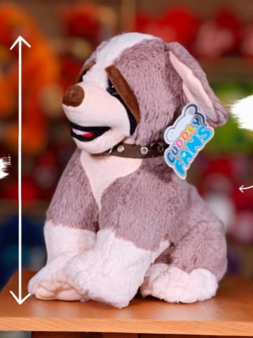 NEW ST . BERNARD